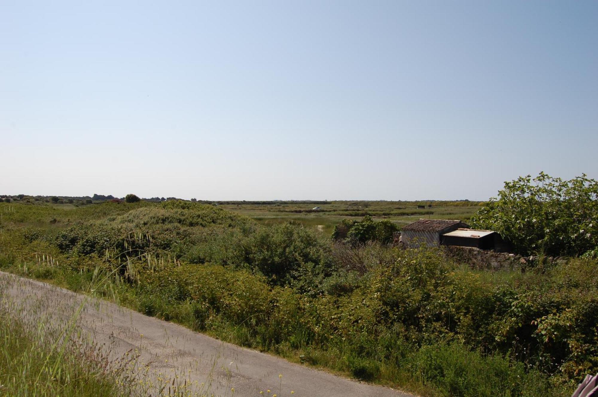 Maisons Parc des Mimosas Noirmoutier-en-l'Île Extérieur photo