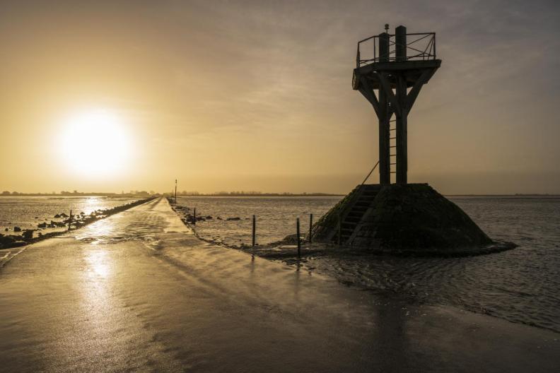 Maisons Parc des Mimosas Noirmoutier-en-l'Île Extérieur photo